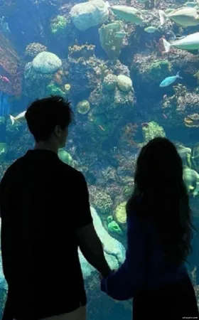 Anh Không Phải Người Duy Nhất