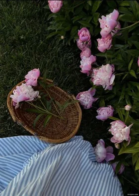 Anh Không Xứng Đáng Được Trân Trọng