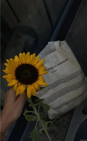 Ánh Mắt Ngọt Ngào