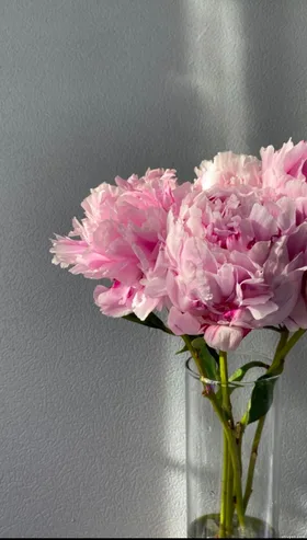 Bảo Bối Mít Ướt