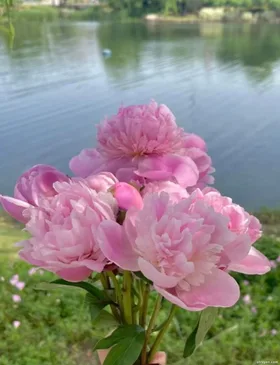 Bất Ngờ Nhận Được Khoản Thừa Kế