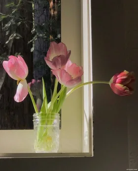 Cả Bầu Trời Sao Vô Tận