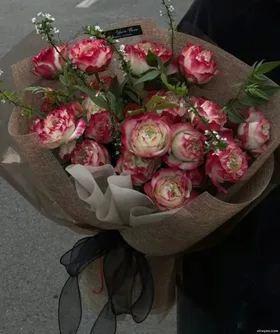 Cá Cược Học Đường