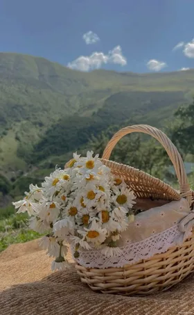 Chân Tình Lâu Ngày Cũng Bén