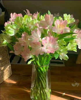 Chỉ Muốn Gặp Em Một Lần