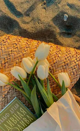 Cô Nàng Lục Nhan