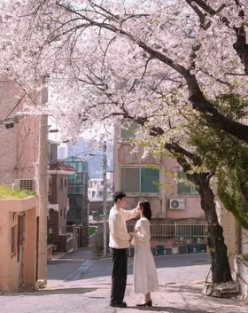 Cú Đá Dành Cho Anh