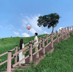 Đổi Chú Rể Trong Đêm