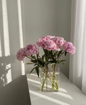 Đồng Hành Cùng Cô Bạn Thân