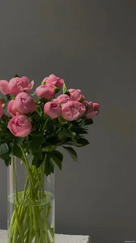 Em Thích Anh Mà Full