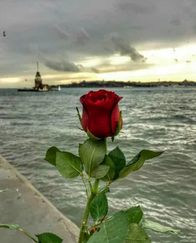 Game Tình Yêu Full