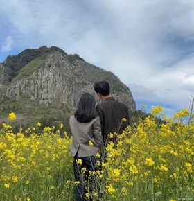 Giấc Mộng Phai Nhạt