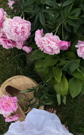 Hẹn Nyc Ăn Tôm Hùm Cay