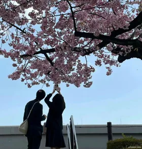 Hôn Nhân Năm Thứ Bảy Chông Tôi Ngoại Tình