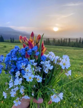 Kết Hôn Với Phản Diện