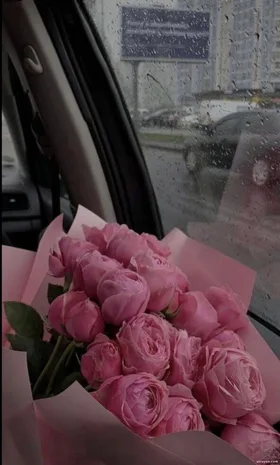 Làm Chim Hoàng Yến Cho Thái Tử Gia