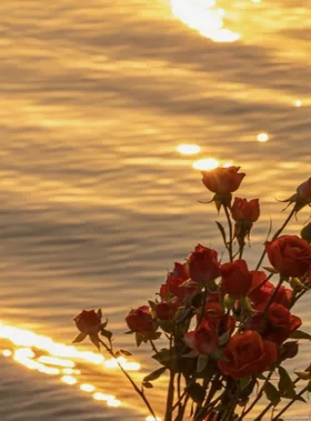 Mẹ Kế Của Thiếu Niên Phản Diện