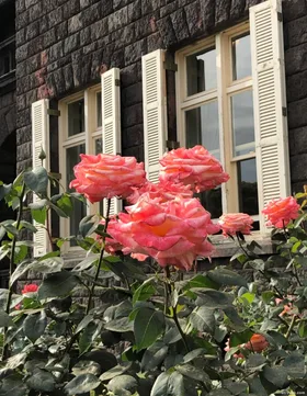 Mối Quan Hệ Mở