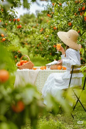 Năm Nghìn Cân Quýt Mốc