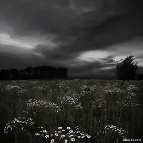 Người Chết Tuần Làng