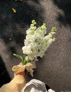 Nhân Quả Luôn Hồi