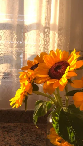 Những Năm Tháng Vội Vã Full