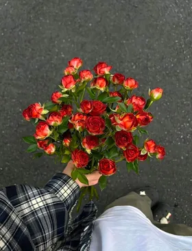 Phương Tiểu Tiểu