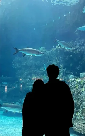 Rời Xa Cố Hành Vân