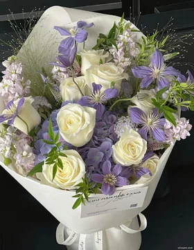 Sự Phản Chiếu Tuyệt Vời