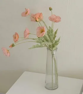 Tình Cảm Dừng Đúng Lúc