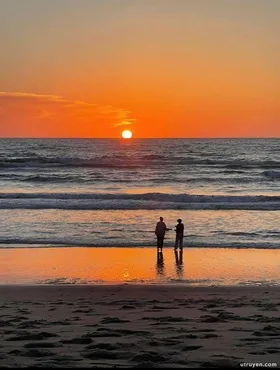 Tình Yêu Rẻ Tiền