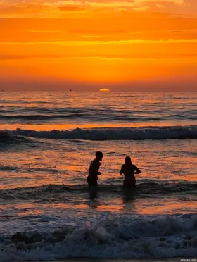 Tình Yêu Vô Nghĩa