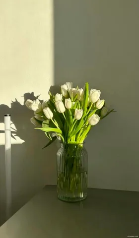 Tôi Chỉ Là Đồ Thế Thân