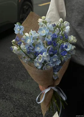 Tôi Chọn Bỏ Rơi Anh