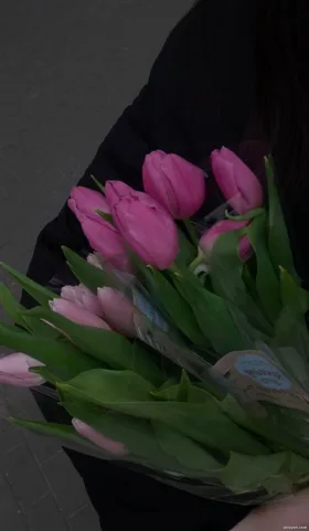 Tôi Đã Trở Lại