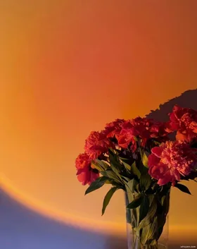 Trọng Sinh Trở Lại, Tôi Né Tránh Chử Lỗi